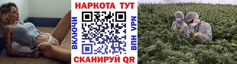 Где купить Нижняя Тура ГАШИШ  СОЛЬ  Псилоцибиновые грибы  COCAIN  МЕФ 