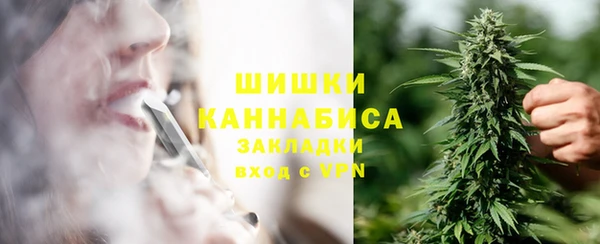 ПСИЛОЦИБИНОВЫЕ ГРИБЫ Балахна