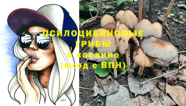 ПСИЛОЦИБИНОВЫЕ ГРИБЫ Балахна