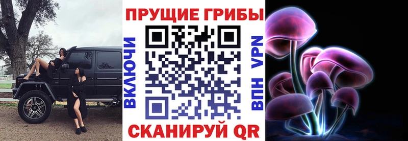 Галлюциногенные грибы Psilocybe  цены наркотик  Нижняя Тура 